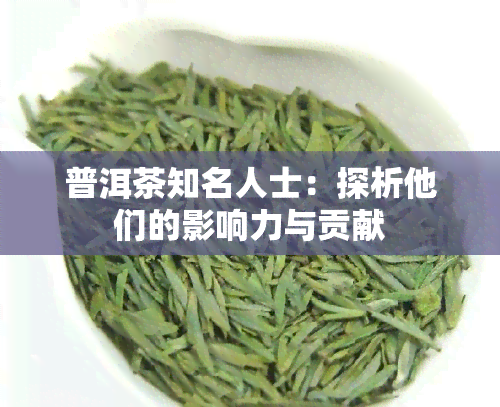 普洱茶知名人士：探析他们的影响力与贡献