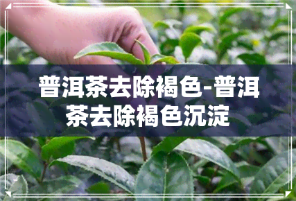 普洱茶去除褐色-普洱茶去除褐色沉淀