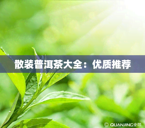 散装普洱茶大全：优质推荐