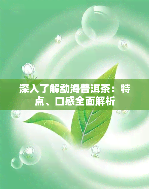 深入了解勐海普洱茶：特点、口感全面解析