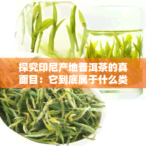 探究印尼产地普洱茶的真面目：它到底属于什么类型的茶？