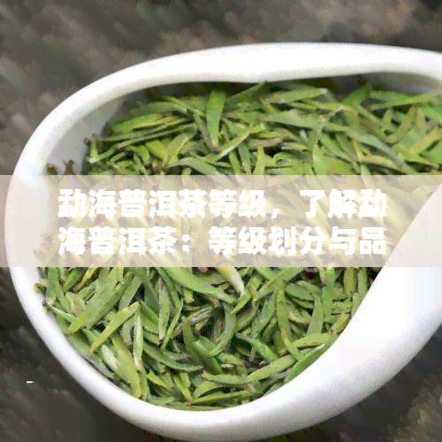 勐海普洱茶等级，了解勐海普洱茶：等级划分与品质鉴别