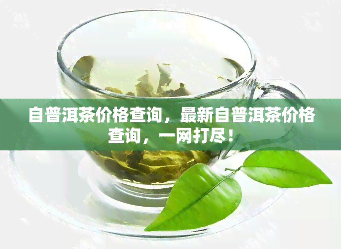 自普洱茶价格查询，最新自普洱茶价格查询，一网打尽！