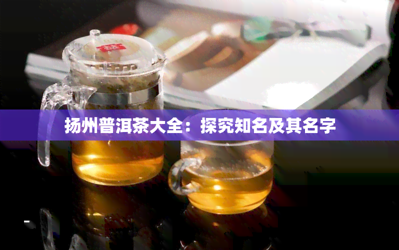 扬州普洱茶大全：探究知名及其名字