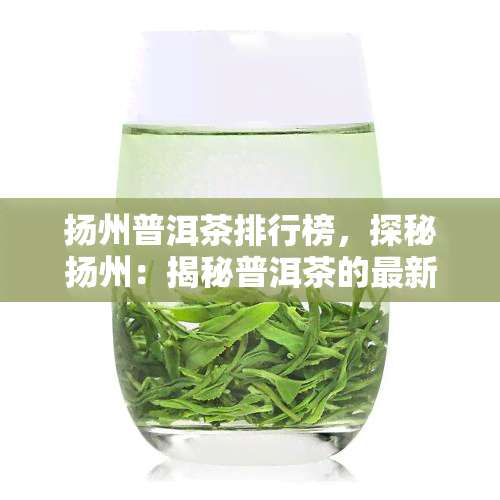 扬州普洱茶排行榜，探秘扬州：揭秘普洱茶的最新排行榜