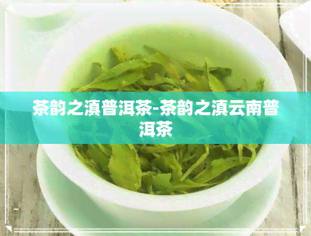 茶韵之滇普洱茶-茶韵之滇云南普洱茶