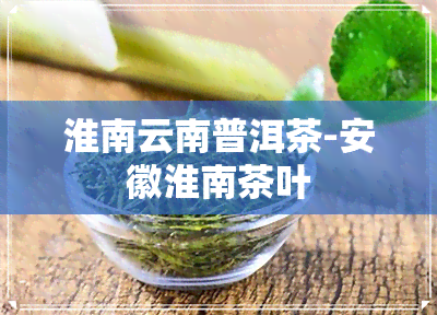 淮南云南普洱茶-安徽淮南茶叶