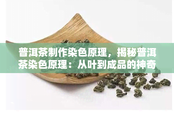 普洱茶制作染色原理，揭秘普洱茶染色原理：从叶到成品的神奇过程