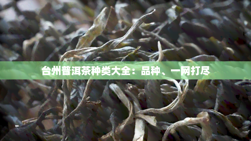 台州普洱茶种类大全：品种、一网打尽