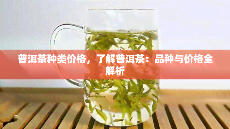 普洱茶种类价格，了解普洱茶：品种与价格全解析