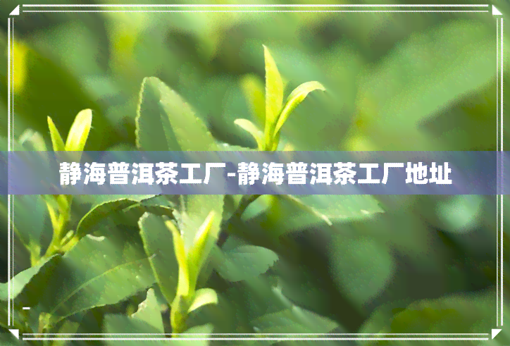 静海普洱茶工厂-静海普洱茶工厂地址