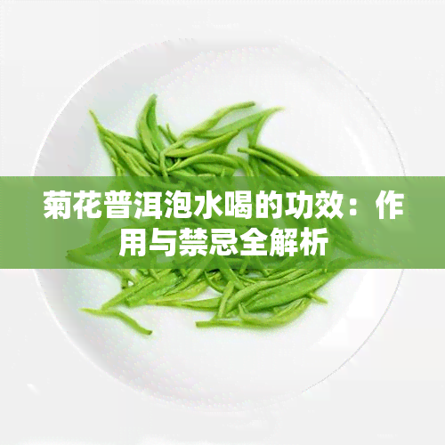 菊花普洱泡水喝的功效：作用与禁忌全解析