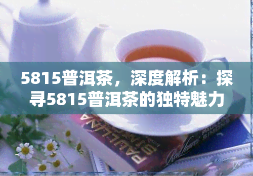 5815普洱茶，深度解析：探寻5815普洱茶的独特魅力与口感