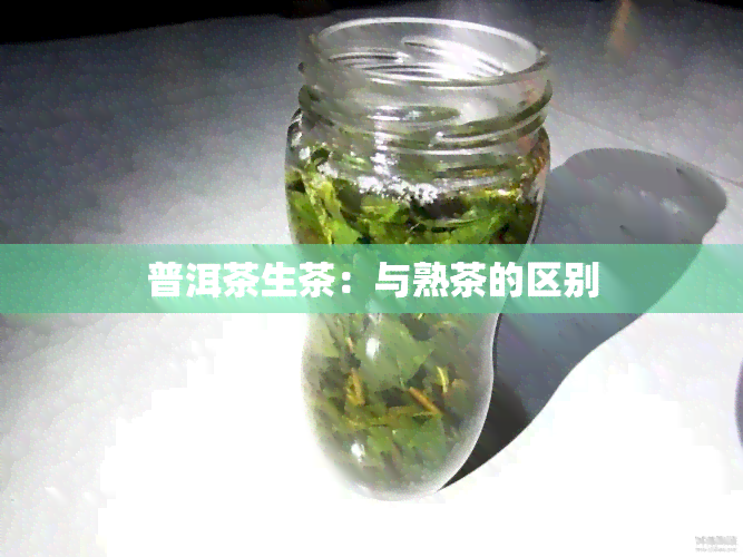 普洱茶生茶：与熟茶的区别