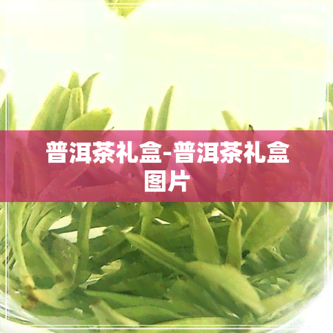 普洱茶礼盒-普洱茶礼盒图片