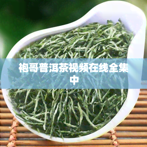 袍哥普洱茶视频在线全集中