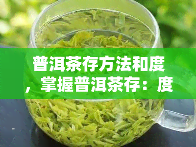 普洱茶存方法和度，掌握普洱茶存：度与方法全解析