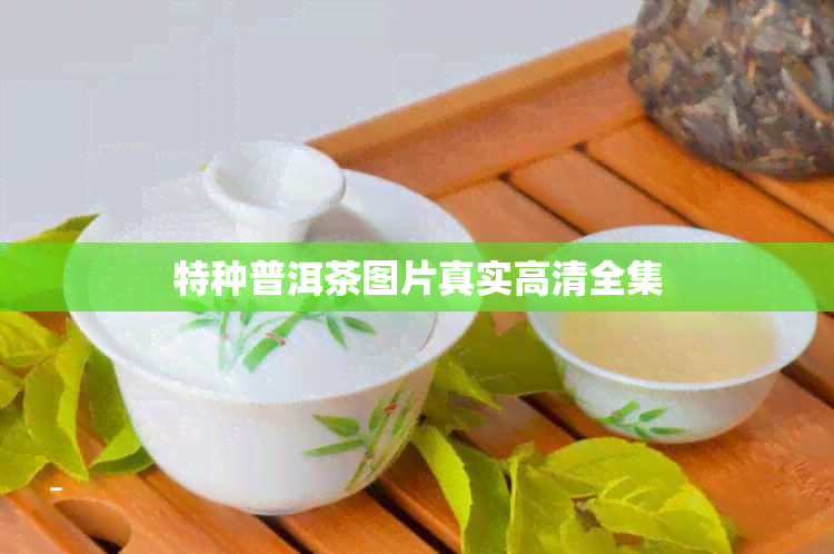 特种普洱茶图片真实高清全集