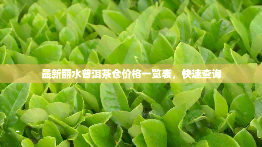 最新丽水普洱茶仓价格一览表，快速查询