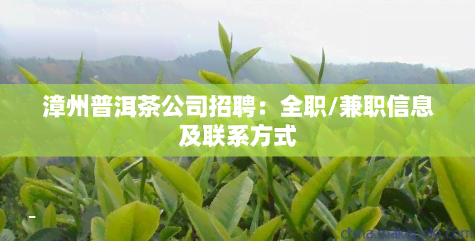 漳州普洱茶公司招聘：全职/兼职信息及联系方式