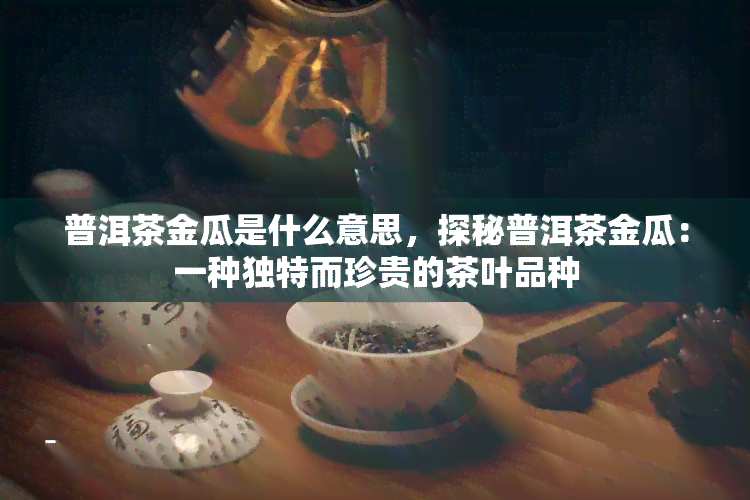 普洱茶金瓜是什么意思，探秘普洱茶金瓜：一种独特而珍贵的茶叶品种