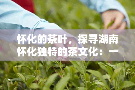 怀化的茶叶，探寻湖南怀化独特的茶文化：一探究竟