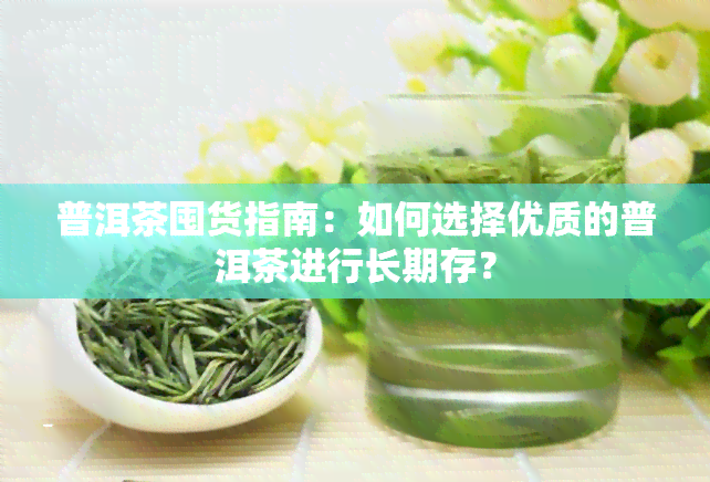 普洱茶囤货指南：如何选择优质的普洱茶进行长期存？