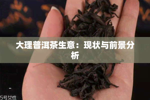 大理普洱茶生意：现状与前景分析