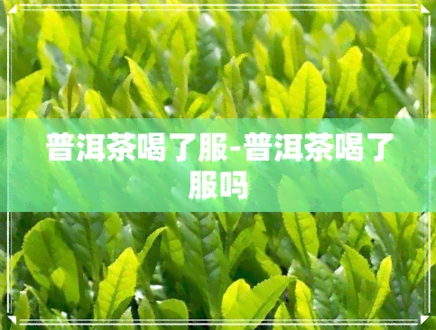 普洱茶喝了服-普洱茶喝了服吗