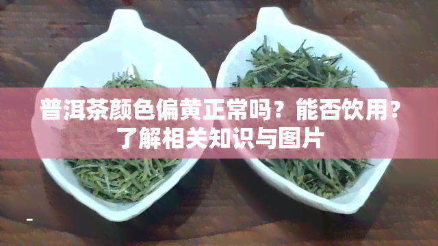 普洱茶颜色偏黄正常吗？能否饮用？了解相关知识与图片