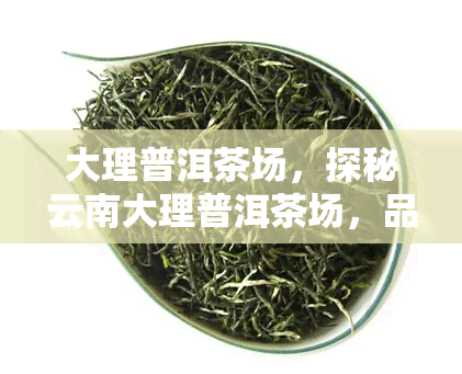 大理普洱茶场，探秘云南大理普洱茶场，品味地道的普洱茶文化