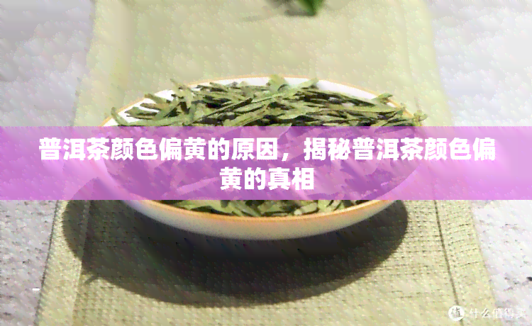 普洱茶颜色偏黄的原因，揭秘普洱茶颜色偏黄的真相