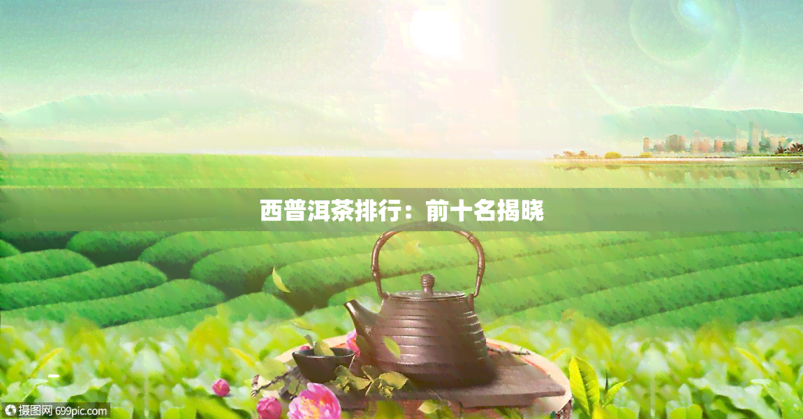 西普洱茶排行：前十名揭晓