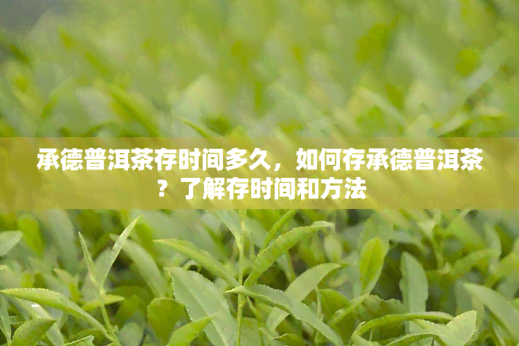 承德普洱茶存时间多久，如何存承德普洱茶？了解存时间和方法