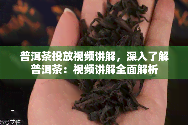 普洱茶投放视频讲解，深入了解普洱茶：视频讲解全面解析