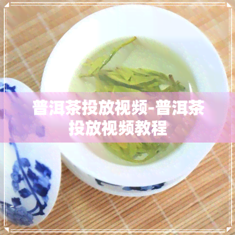 普洱茶投放视频-普洱茶投放视频教程