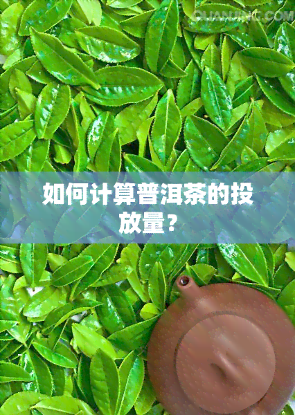 如何计算普洱茶的投放量？