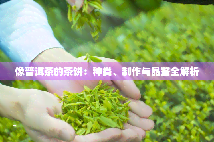 像普洱茶的茶饼：种类、制作与品鉴全解析