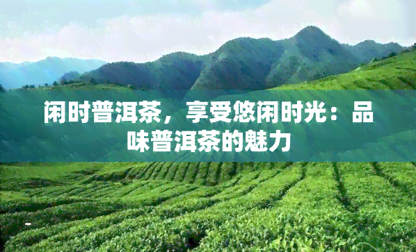 闲时普洱茶，享受悠闲时光：品味普洱茶的魅力