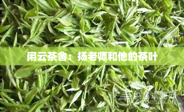 闲云茶舍：扬老师和他的茶叶