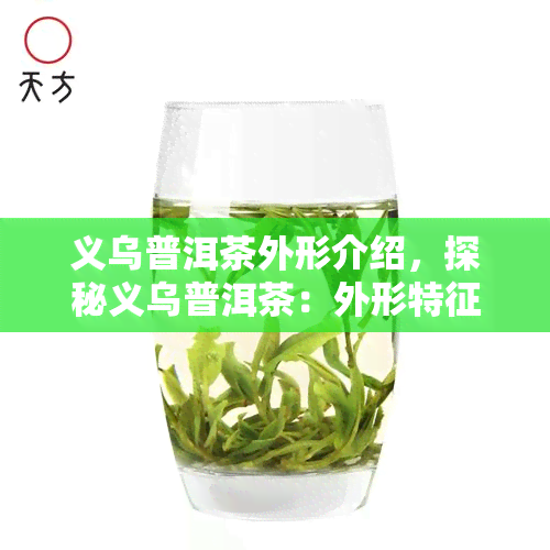 义乌普洱茶外形介绍，探秘义乌普洱茶：外形特征全面解析