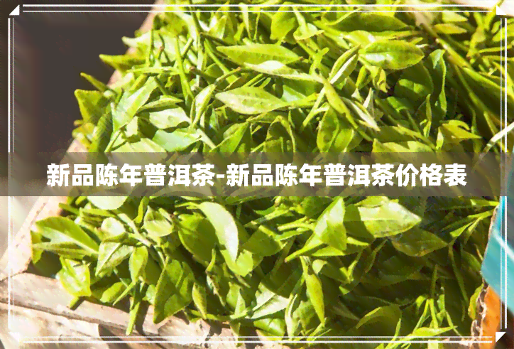 新品陈年普洱茶-新品陈年普洱茶价格表