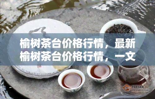 榆树茶台价格行情，最新榆树茶台价格行情，一文带你了解市场动态！