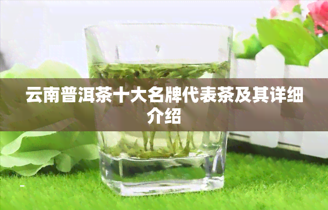 云南普洱茶十大名牌代表茶及其详细介绍