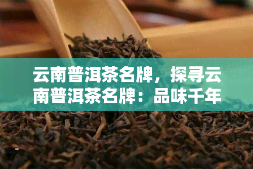 云南普洱茶名牌，探寻云南普洱茶名牌：品味千年古韵，领略茶香风情