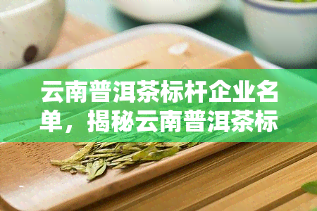 云南普洱茶标杆企业名单，揭秘云南普洱茶标杆企业名单，了解行业领先者！