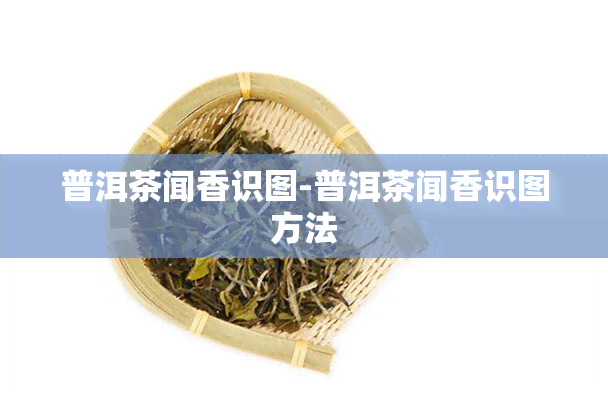 普洱茶闻香识图-普洱茶闻香识图方法