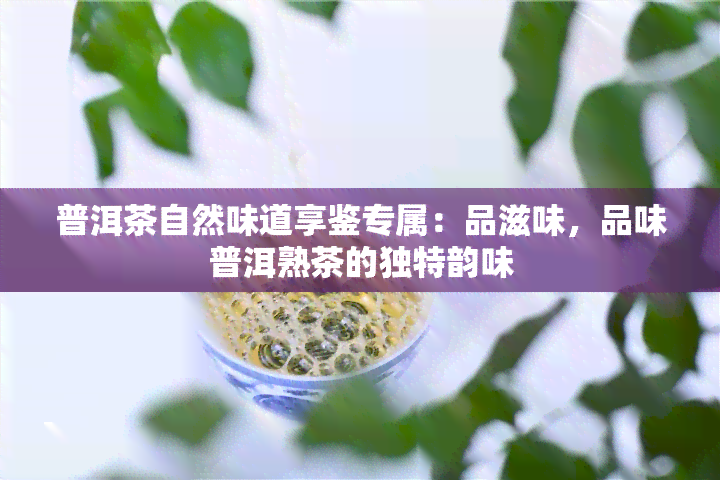 普洱茶自然味道享鉴专属：品滋味，品味普洱熟茶的独特韵味