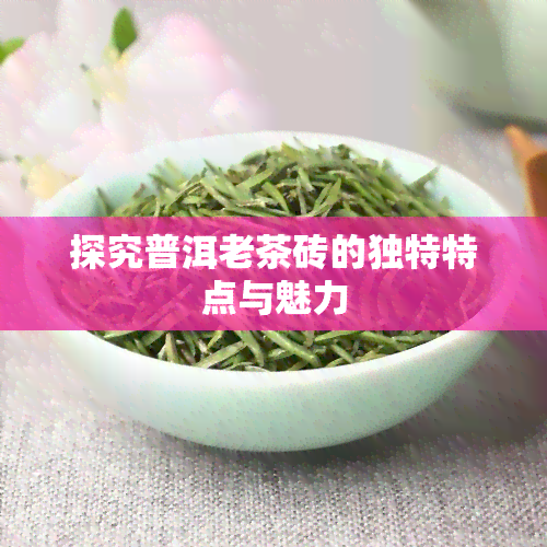 探究普洱老茶砖的独特特点与魅力