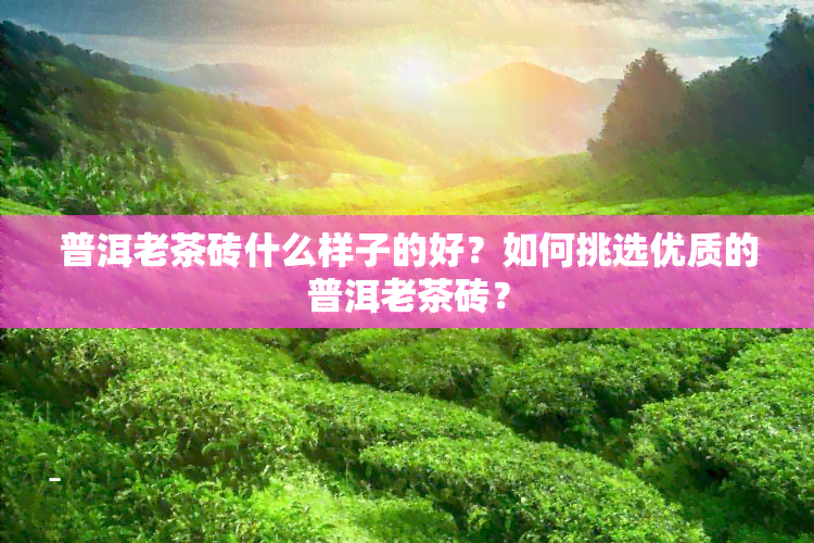 普洱老茶砖什么样子的好？如何挑选优质的普洱老茶砖？